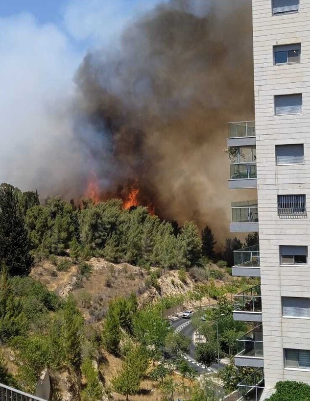 שרפה באזור עין כרם בירושלים (צילום: שורק אורי, TPS)