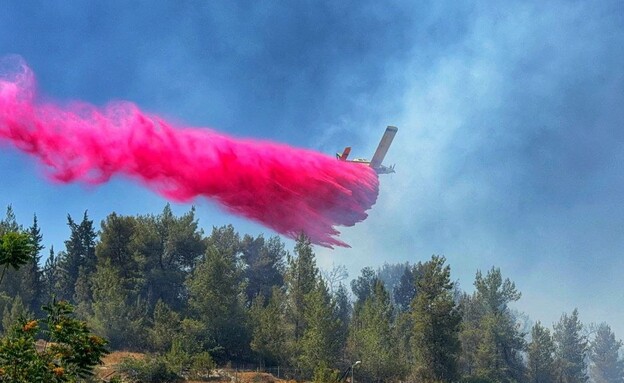 מאמצי כיבוי השרפה באזור עין כרם (צילום: אבי גאלאן, דוברות כבאות והצלה לישראל מחוז ירושלים)