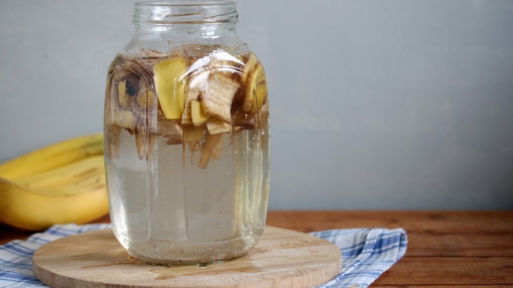 קליפות בננה מושרות במים קליפות בננה מושרות במים