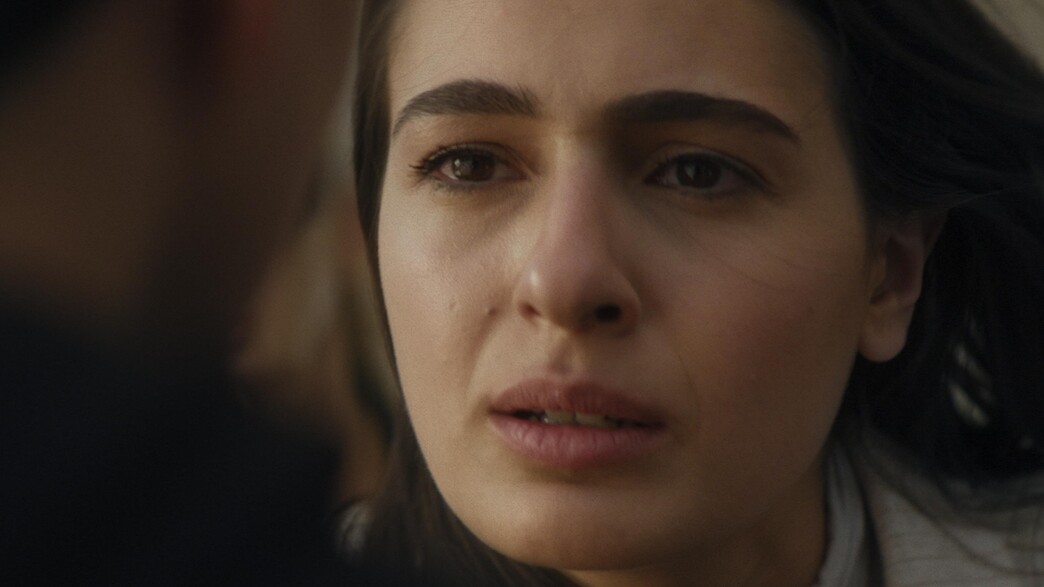 לוסי איוב, "נוטוק" לוסי איוב, "נוטוק"