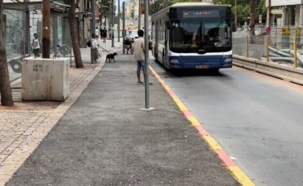 תחנת אוטובוס ששופצה והמפרץ בוטל (צילום: טיקטוק)