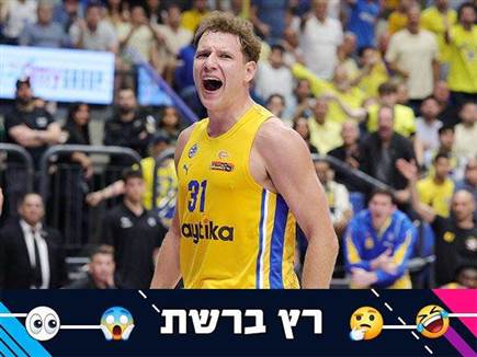 (אלן שיבר) (אלן שיבר)