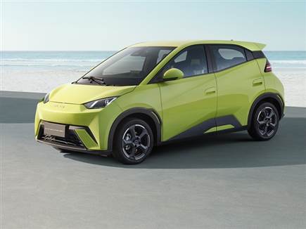 BYD ממשיכה להוביל את השוק למרות ירידה במסירות (צילום: ספורט 5)