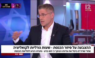 19drishot_vtr2_n20250611_v1 (צילום: חדשות)