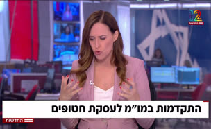 20mum_vtr2_n20250611_v1 (צילום: חדשות)