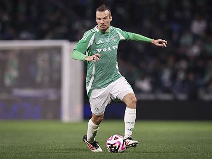 (מאור אלקסלסי) (מאור אלקסלסי)