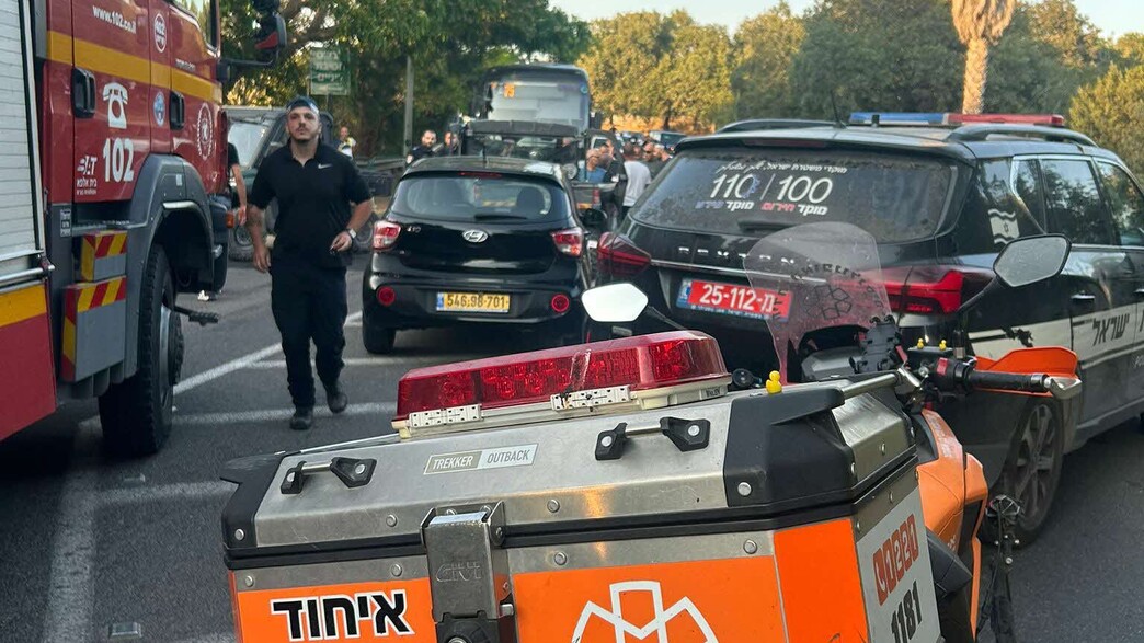 הזירה בבסמת טבעון הזירה בבסמת טבעון