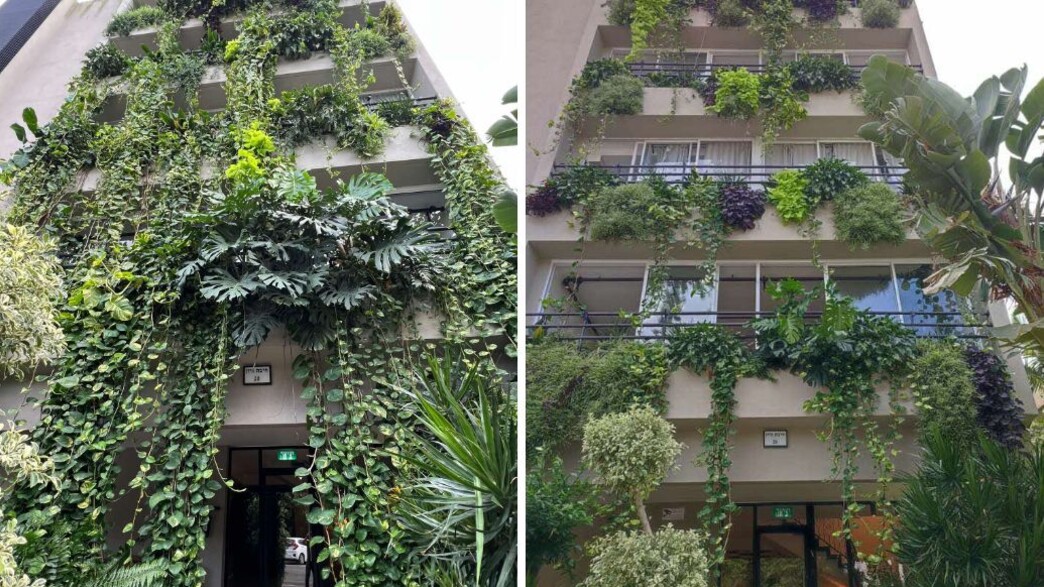 אז ועכשיו, הבניין לפני ארבע שנים ועכשיו אז ועכשיו, הבניין לפני ארבע שנים ועכשיו