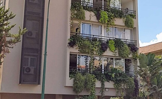 מעונות בית צבי (צילום: פייסבוק)