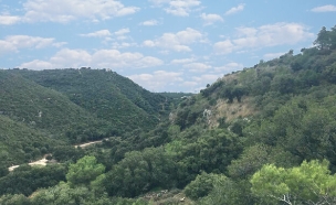 מסלול כרמל  (צילום: מירב טלמור-קשי)