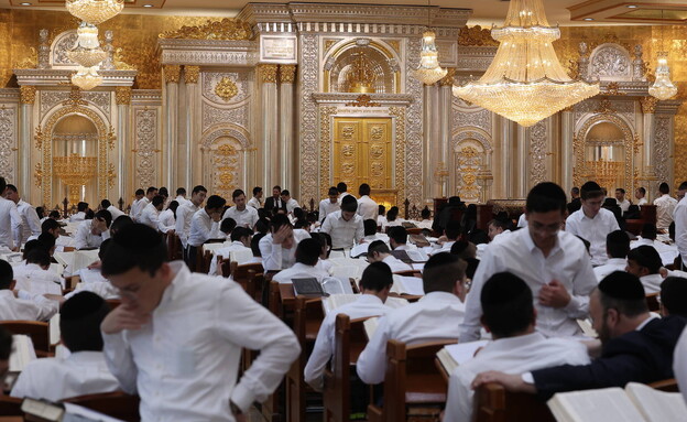 תלמידי ישיבה חרדים (צילום: שלומי כהן, פלאש 90)