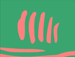 sportFive1528944 (צילום: ספורט 5)