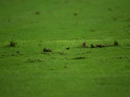 sportFive1566831 (צילום: ספורט 5)