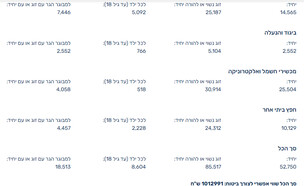 הצהרה לצורך ביטוח חפצים ביתיים באתר רשות המסים (צילום: צילום מסך)