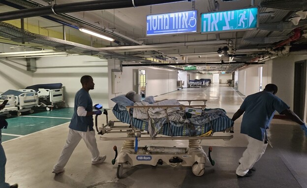המבצע הלוגיסטי המורכב בבילינסון  (צילום: בילינסון)