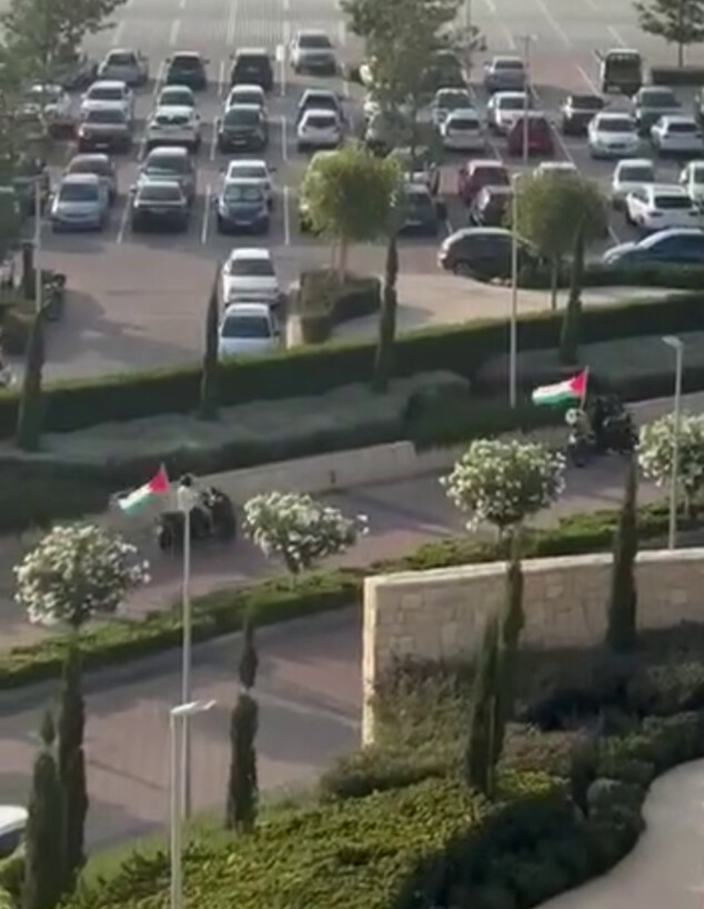 מפגינים פרו פלסטינים מחוץ למלונות ישראלים בקפריסין