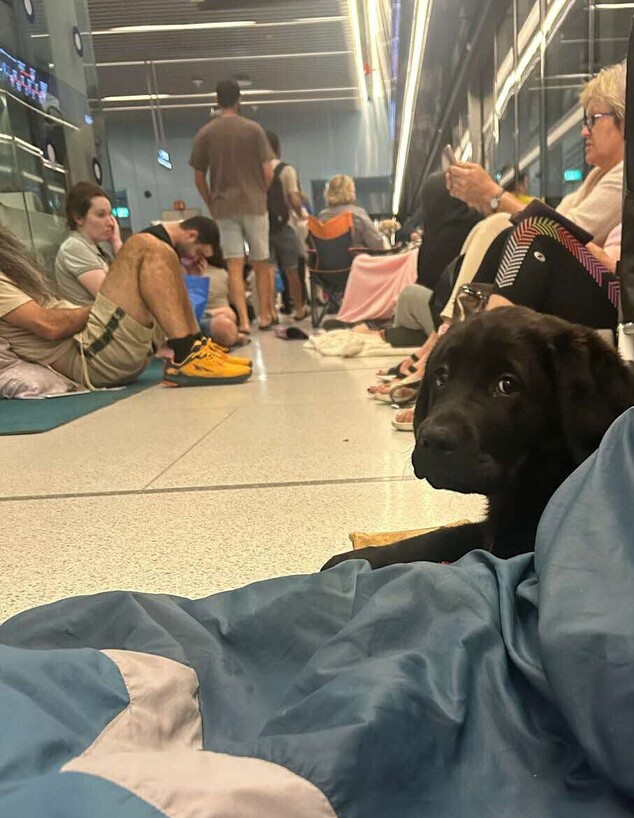 אנשים שמעבירים את הלילה בתחנת הרכבת הקלה ביאליק ברמת גן