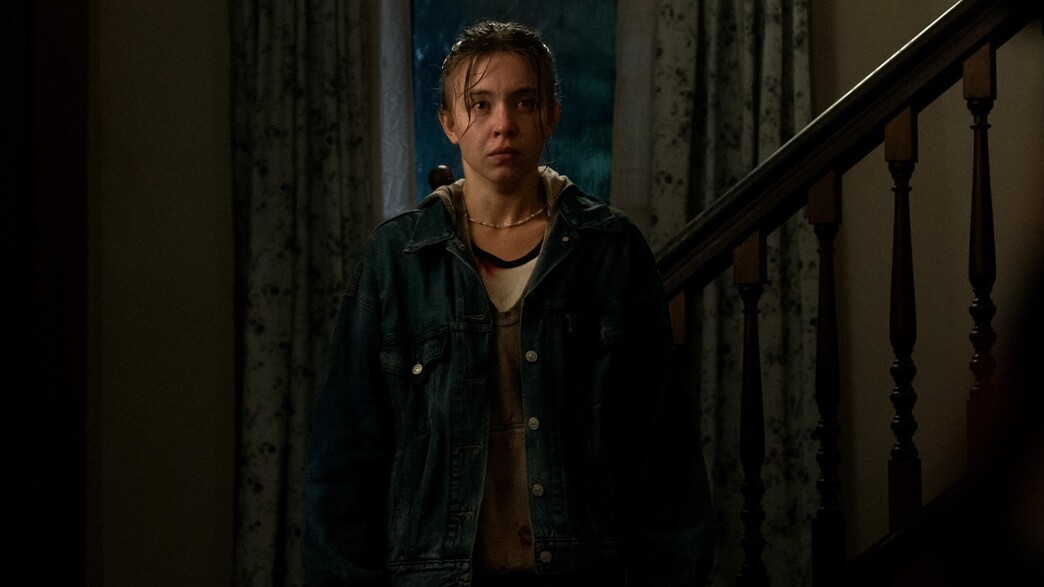 אקו ואלי, סידני סוויני אקו ואלי, סידני סוויני