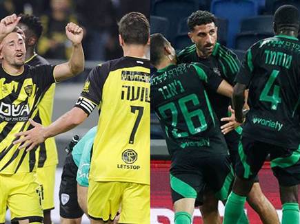 (צילום: דני מרון ואלן שיבר)