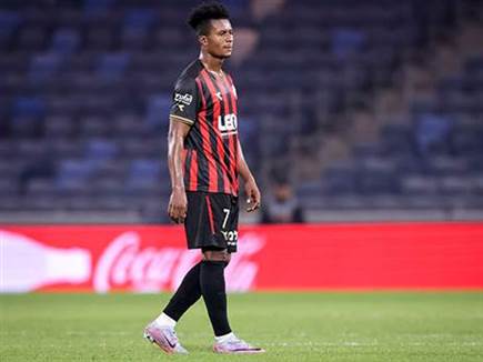 (צילום: מאור אלקסלסי)