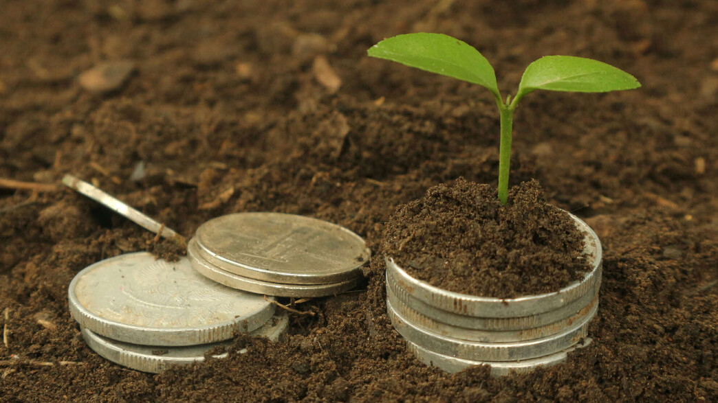 הדר ברוקנשטיין