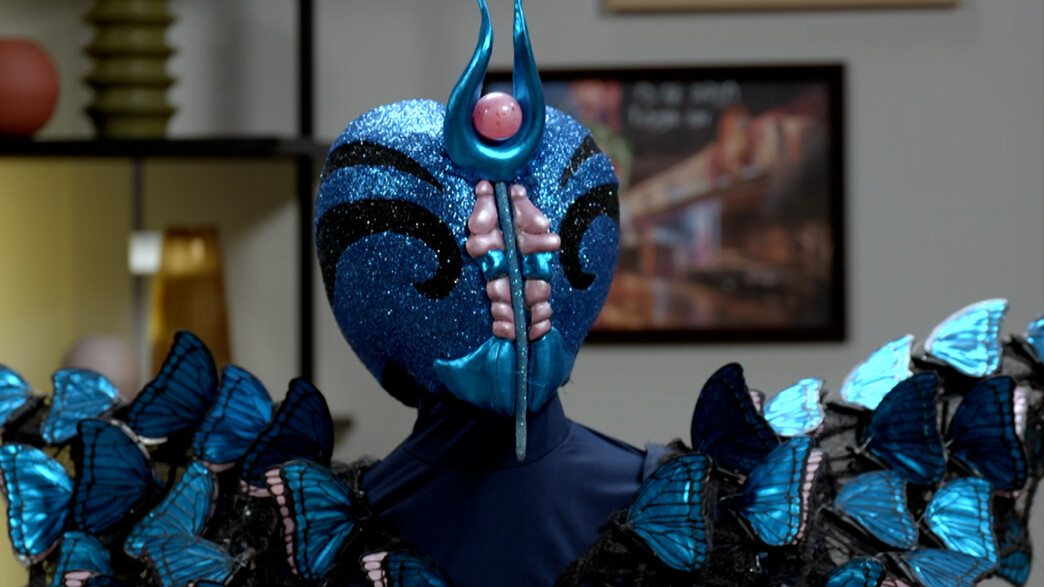 הפרפר הפרפר