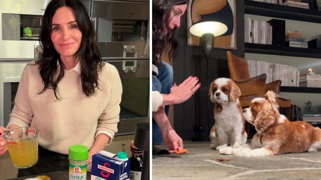 קורטני קוקס | Getty Images