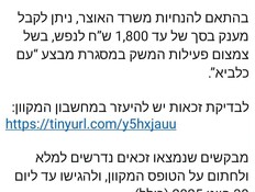 עוקץ המענקים עם כלביא