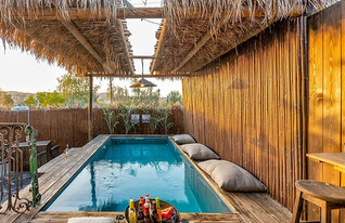 הבית החום (צילום: איילת הבית החום)