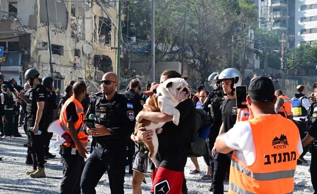 פגיעה ישירה במרכז הארץ (צילום: יוסי זליגר, TPS)