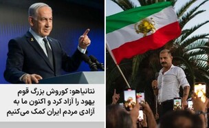שאהין נג'אפי