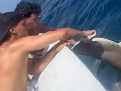 sportFive1568809 (צילום: ספורט 5)