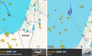 טיסות הסתובבו באוויר (צילום: צילום מסך)