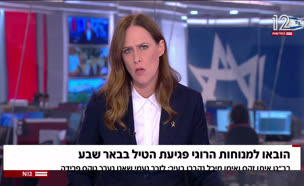 20til_vtr2_n20250625_v1 (צילום: חדשות)