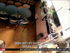 20busha_vtr2_n20250626_v1 (צילום: חדשות)
