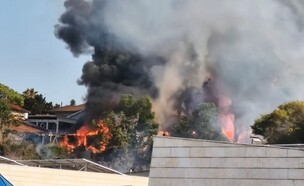שרפת שטח פתוח בנס ציונה- קו בתים ראשון פונה (צילום: שימוש לפי סעיף 27א' לחוק זכויות יוצרים)