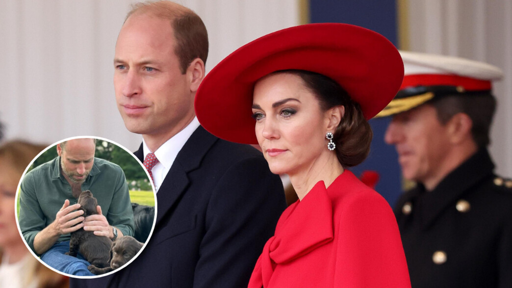 הנסיך וויליאם, קייט מידלטון, וויליאם וקייט הנסיך וויליאם, קייט מידלטון, וויליאם וקייט