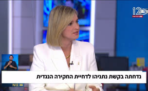 20dana_vtr2_n20250627_v1 (צילום: חדשות)