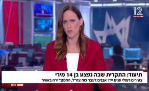 2014yeri_vtr2_n20250629_v1 (צילום: חדשות)