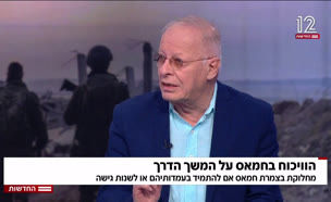 20hamas_vtr2_n20250629_v1 (צילום: חדשות)