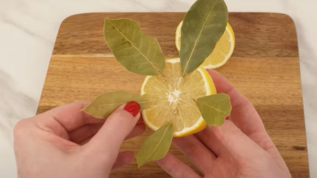 לימון עם עלי דפנה לימון עם עלי דפנה