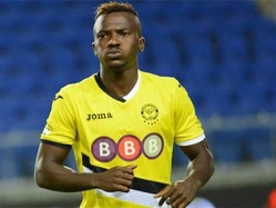 sportFive1570819 (צילום: ספורט 5)