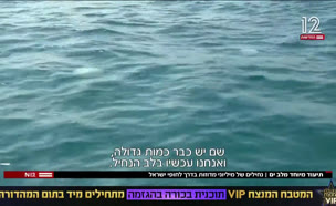 20levyam_vtr2_n20250630_v1 (צילום: חדשות)