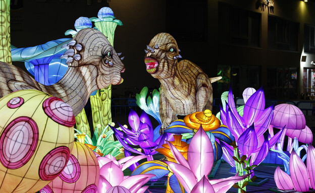 פסטיבל אורות - אוגוסט משפחתי