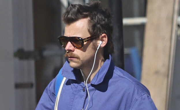 הארי סטיילס