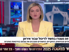 20rigul_vtr2_n20250701_v1 (צילום: חדשות)