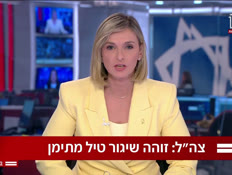 20til_p_vtr2_n20250701_v1 (צילום: חדשות)