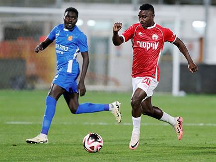 (אלן שיבר) (אלן שיבר)