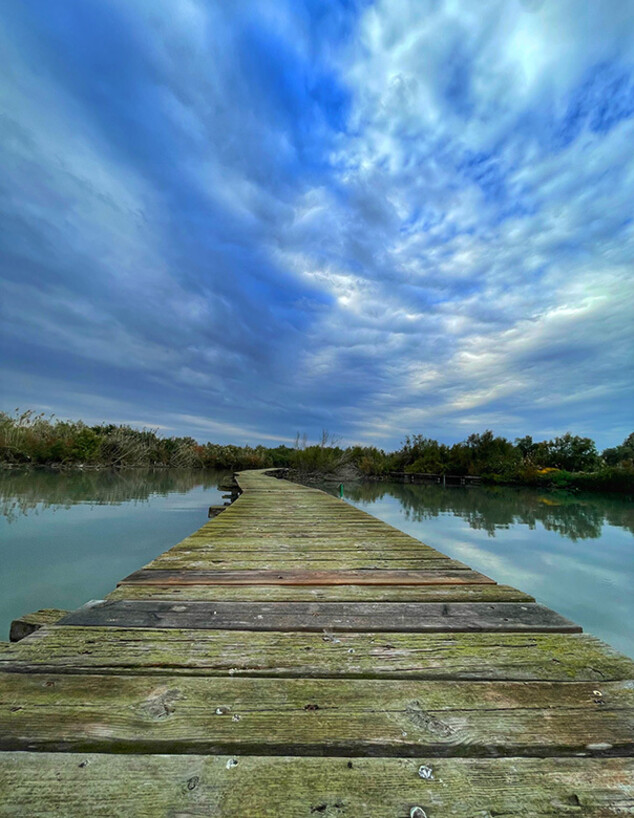 הגשר הצף בשמורת עין אפק בעונת סתיו הגשר הצף בשמורת עין אפק בעונת סתיו