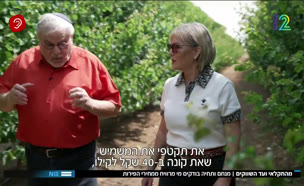 19shave_vtr2_n20250703_v1 (צילום: חדשות)